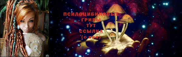 гашик Беломорск