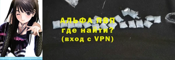 индика Баксан